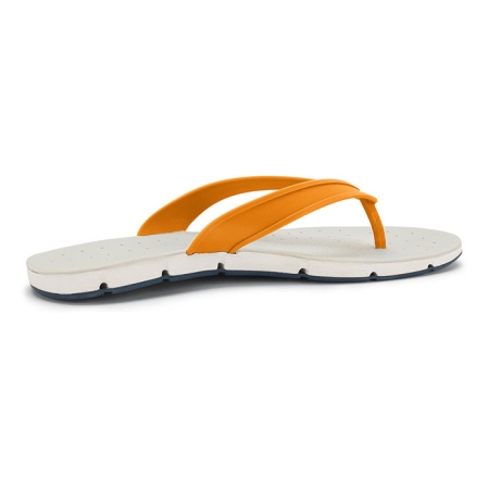 �������� ������� 41 ���������